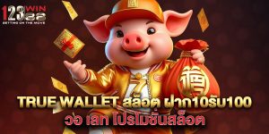 true-wallet-สล็อต-ฝาก10รับ100-วอ-เลท-โปรโมชั่นสล็อต