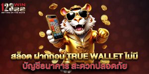 สล็อต-ฝากถอน-true-wallet-ไม่มี-บัญชีธนาคาร-สะดวกปลอดภัย