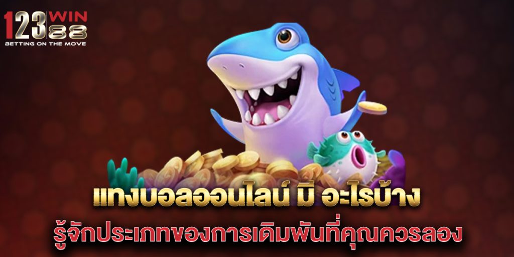 แทงบอลออนไลน์ มี อะไรบ้าง รู้จักประเภทของการเดิมพันที่คุณควรลอง 1 แทงบอลออนไลน์-มี-อะไรบ้าง-รู้จักประเภทของการเดิมพันที่คุณควรลอง